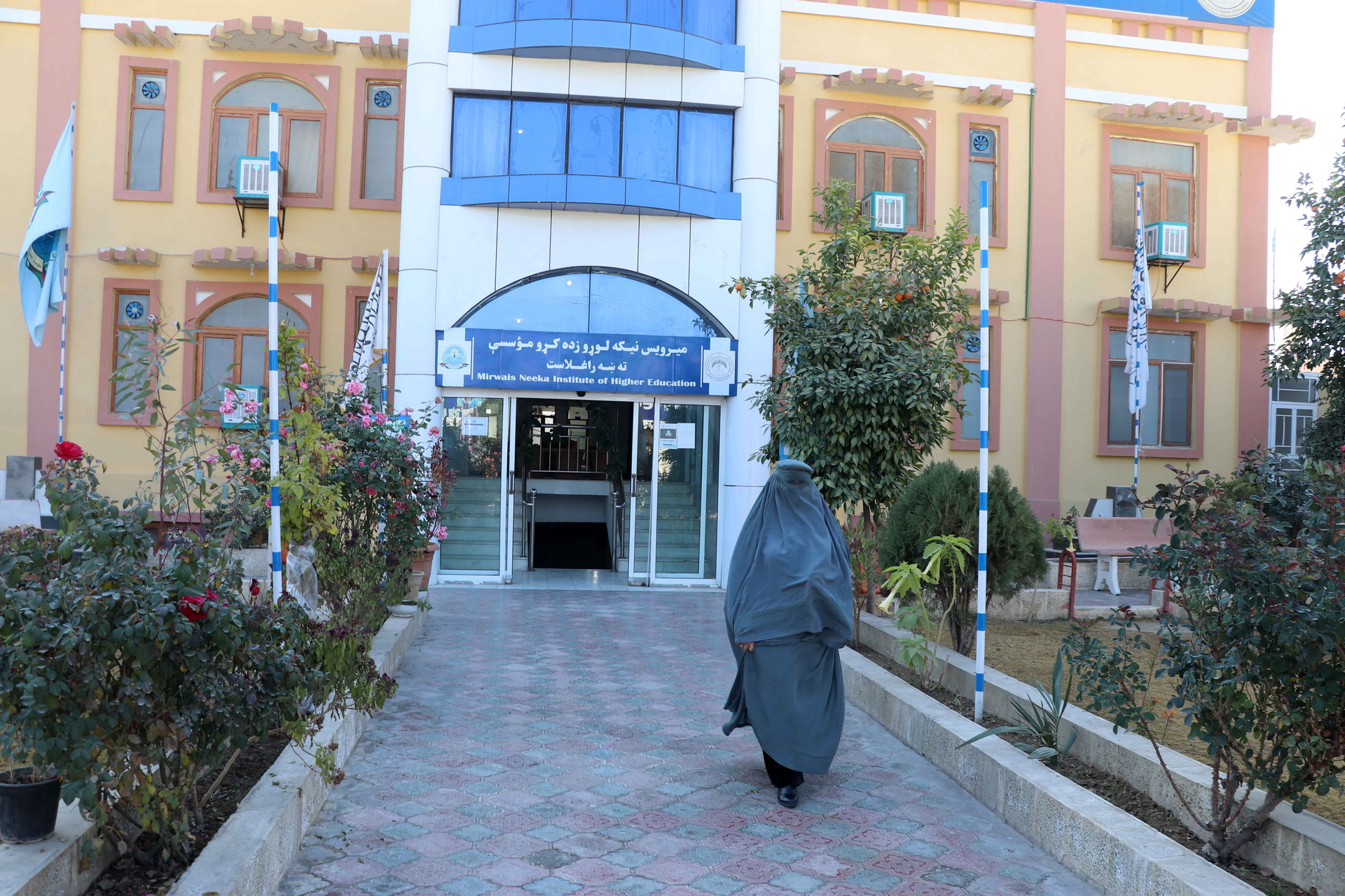 ONU condena ley que prohíbe a mujeres afganas estudiar en la universidad