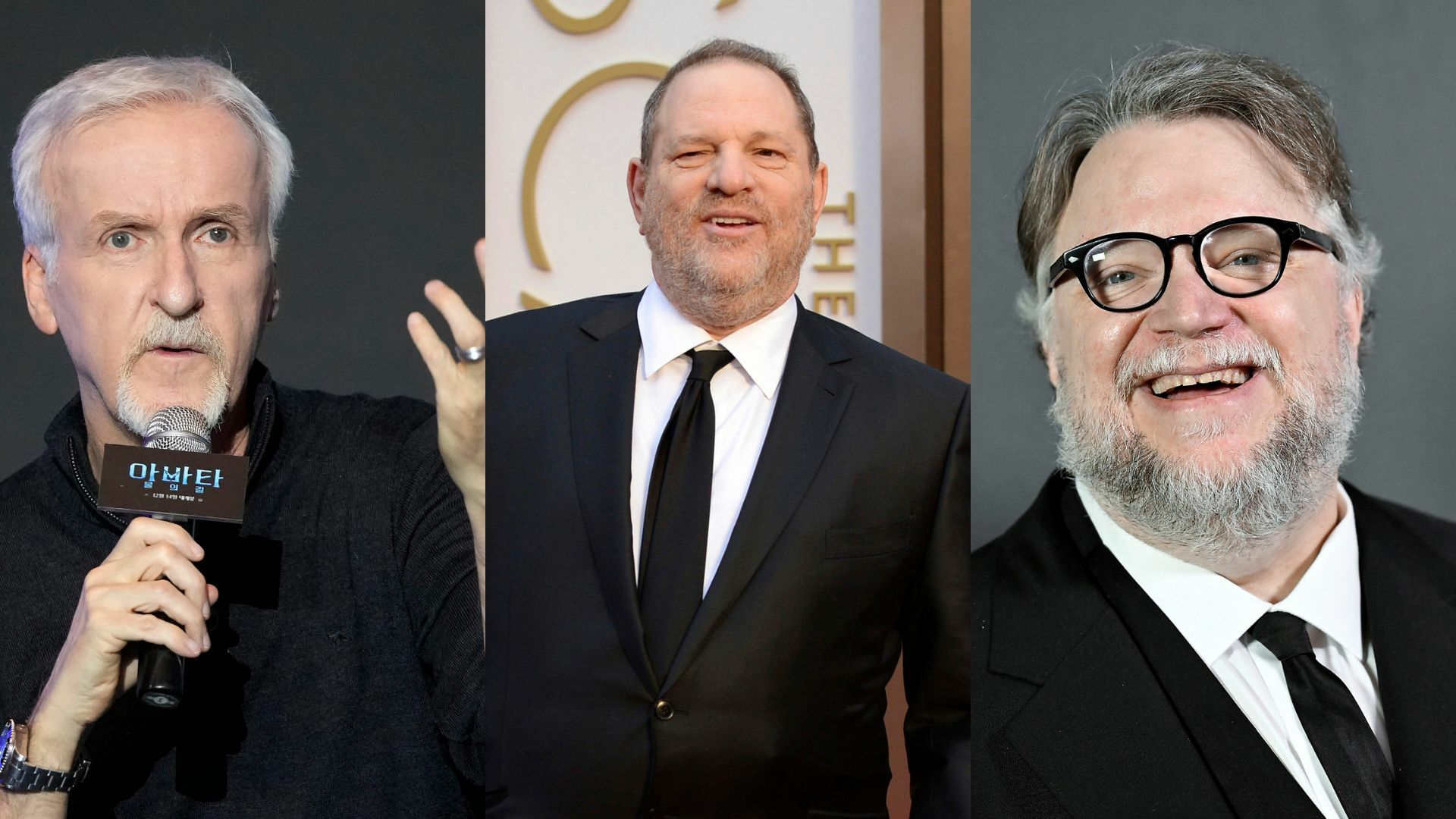 James Cameron casi golpea a Weinstein por defender a Guillermo Del Toro