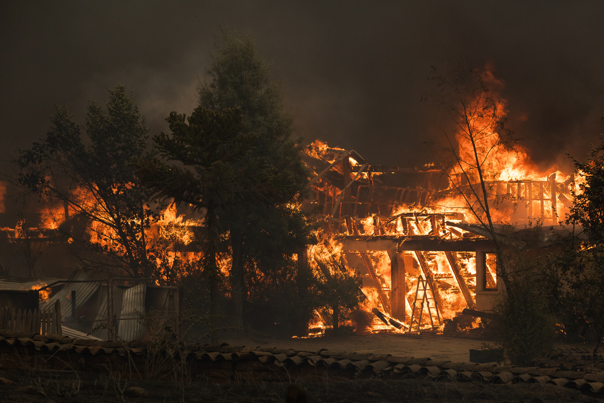 Argentina precisó que ha enviado a Chile 64 combatientes de incendios forestales. (EFE)