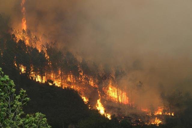 En el combate de los incendios trabajaron unas 1.459 personas, entre personal del ICF, Fuerzas Armadas y otras instancias.