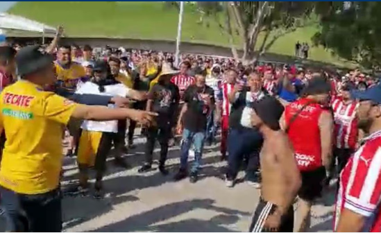 Aficionados de Chivas y Tigres protagonizan pelea en el Akron