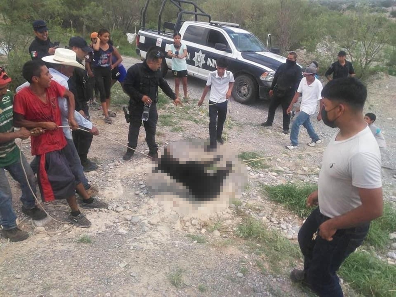 Vinculan a proceso a seis personas tras ahorcamiento de oso en Castaños