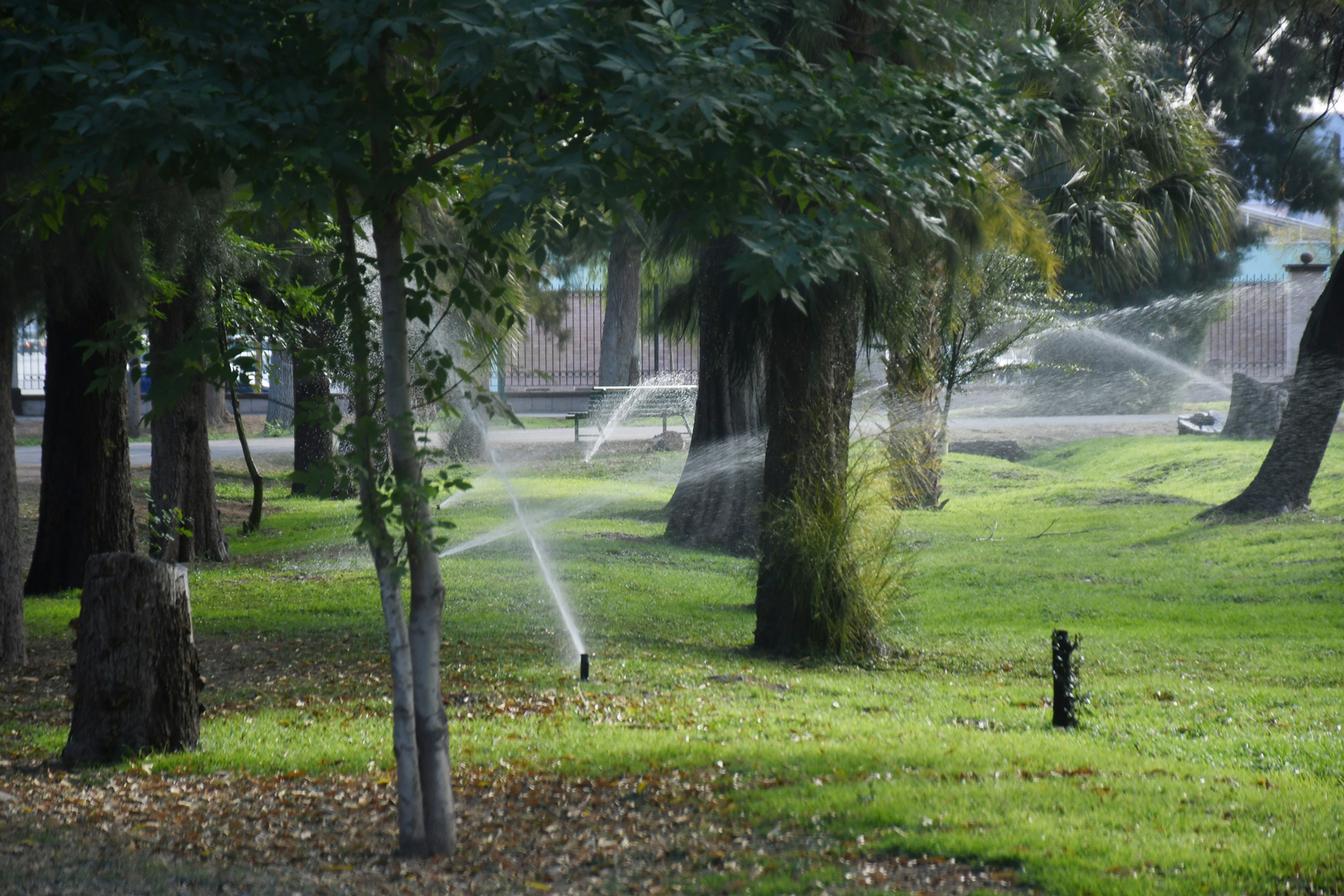 Ahorran 200 mil litros de agua potable al día en Torreón con riego tratado en áreas verdes