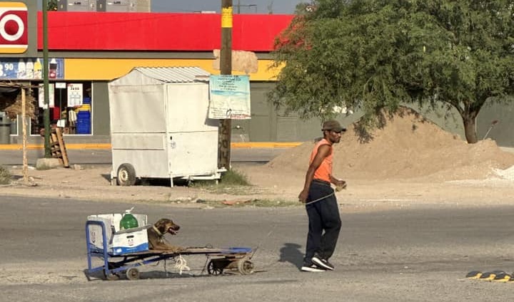 Captan a hombre en Torreón llevando a su perrito en carrito para que no se queme las patas