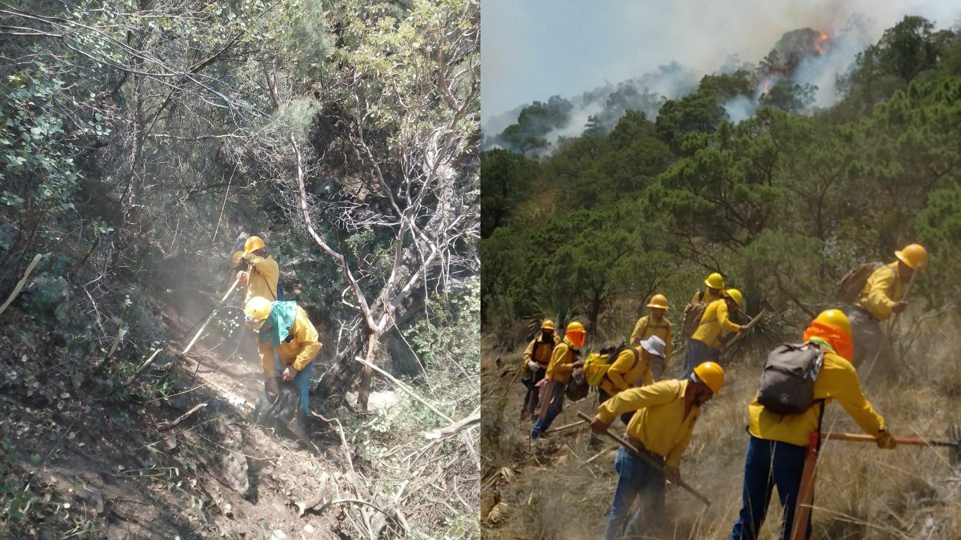 Reportan avance de 55 por ciento en control de incendio forestal en Las Maravillas