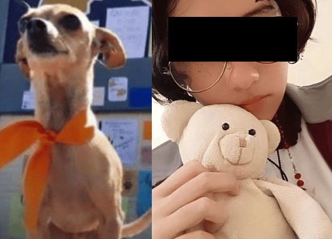 Exigen justicia por 'Huellitas', el perrito asesinado por alumna del CBTIS de Puebla