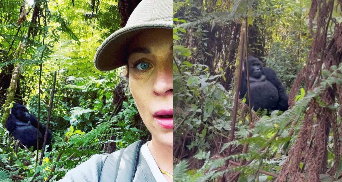 Critican a Ludwika Paleta por 'molestar' a gorilas en África; 'qué afán de invadir su hábitat'