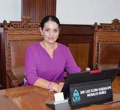 La diputada Luz Elena Guadalupe Morales Núñez realizó la propuesta. (ISABEL AMPUDIA)