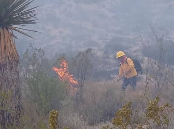 Se mantienen focos rojos de incendios ante ola de calor en Coahuila