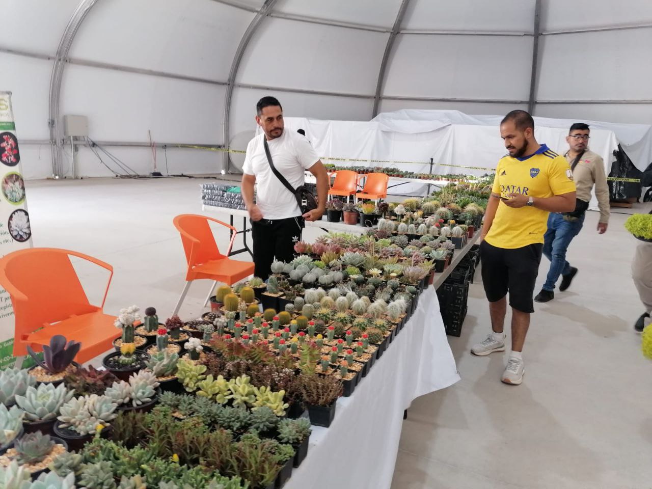 Exponen cactus y suculentas a favor de asociación en Torreón