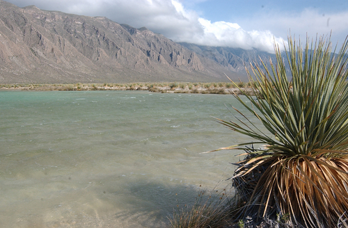 Aún hay tiempo para preservar pozas y humedales tras la pérdida de la laguna de Churnice: SEMA