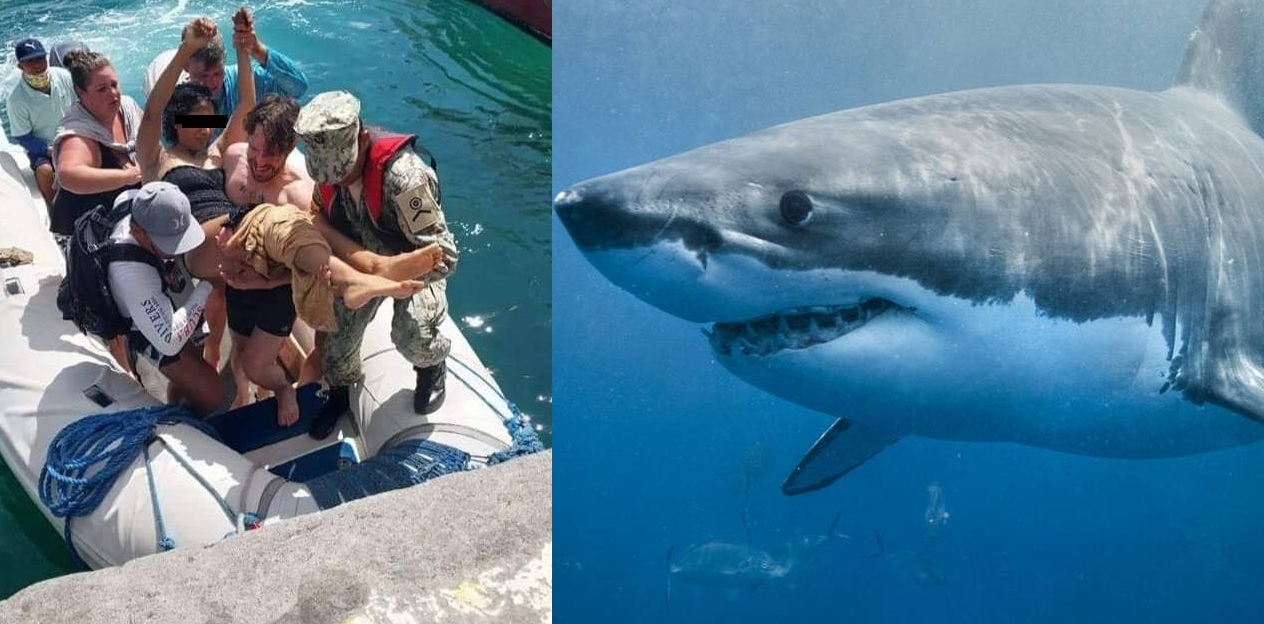 Turista mexicana es atacada por tiburón en las Islas Galápagos