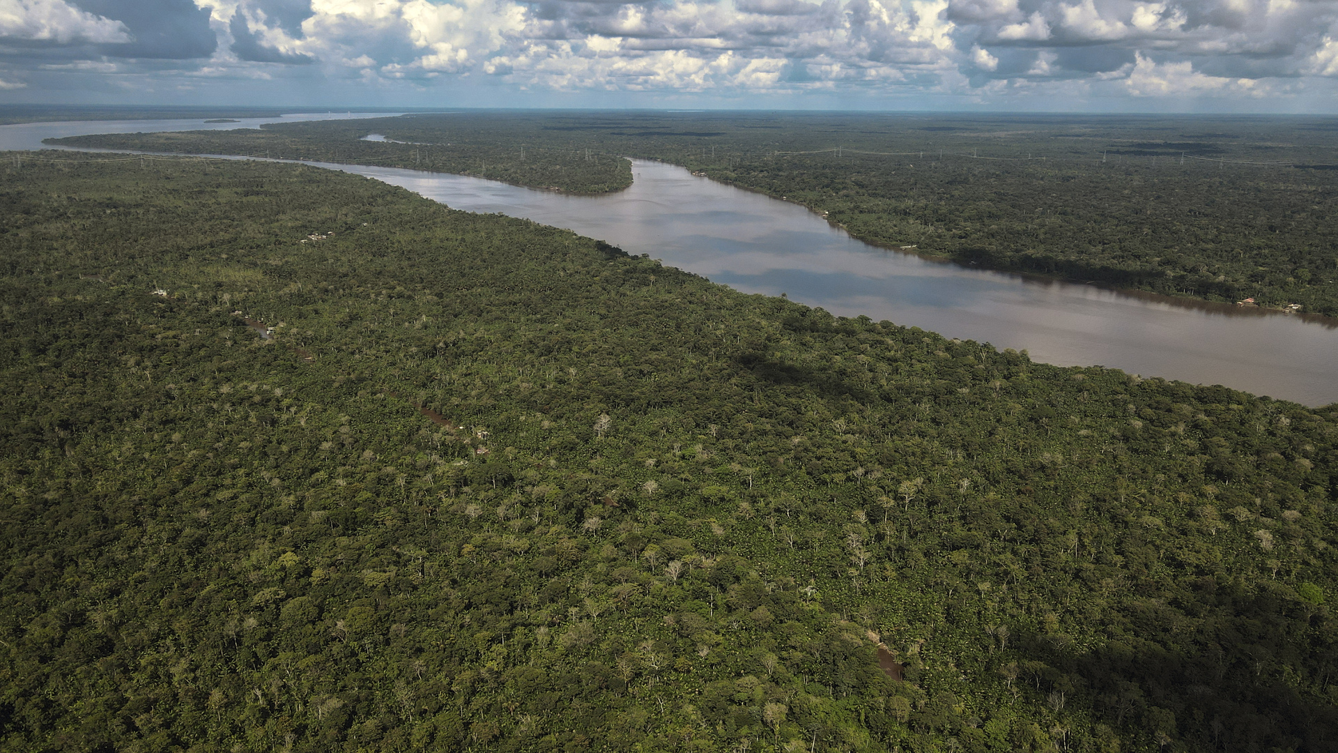 Venezuela prevé reforestar las zonas afectadas por la minería ilegal en la Amazonía