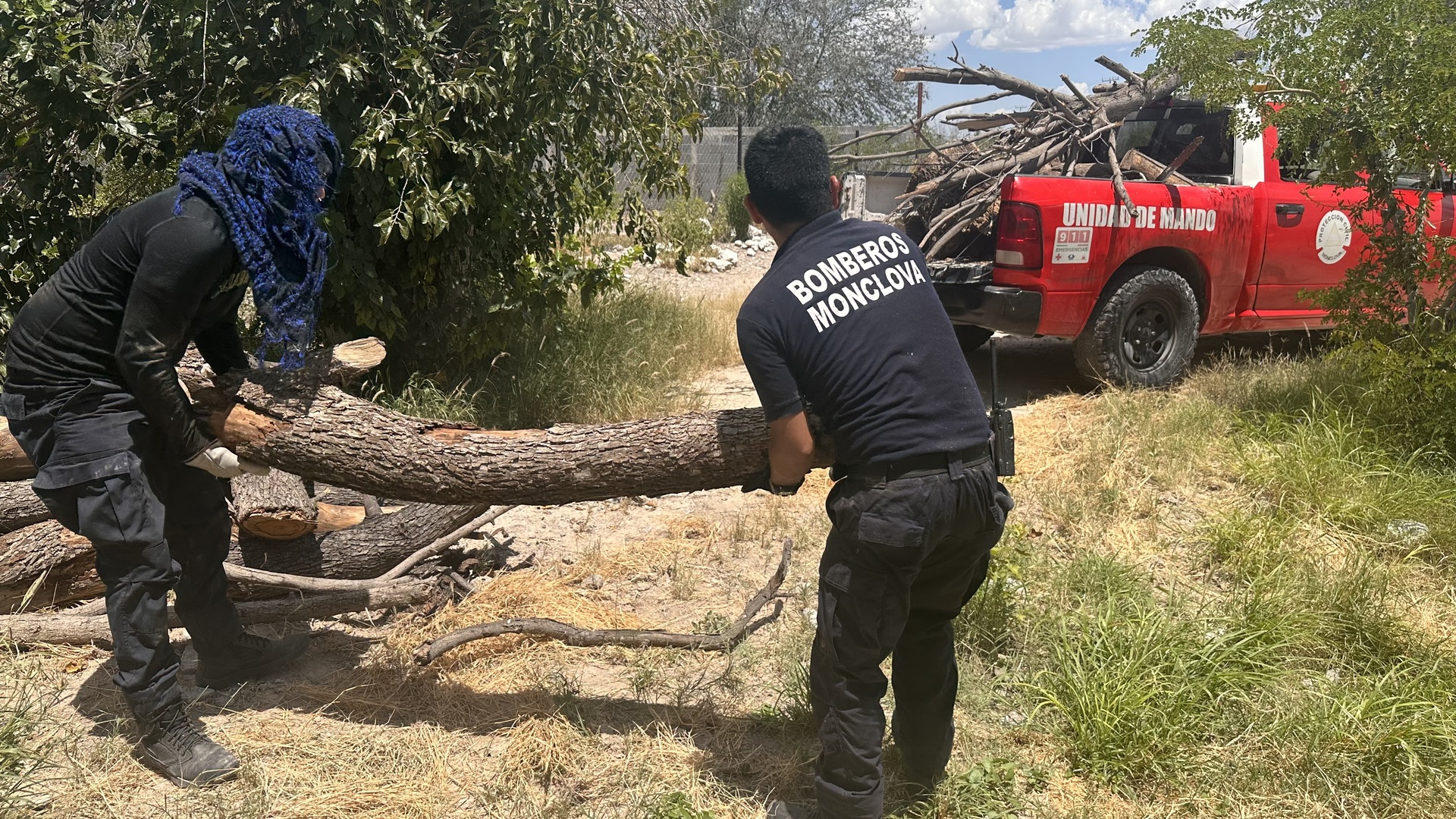 Cae viejo árbol seco en una casa en Monclova; no se reportaron lesionados