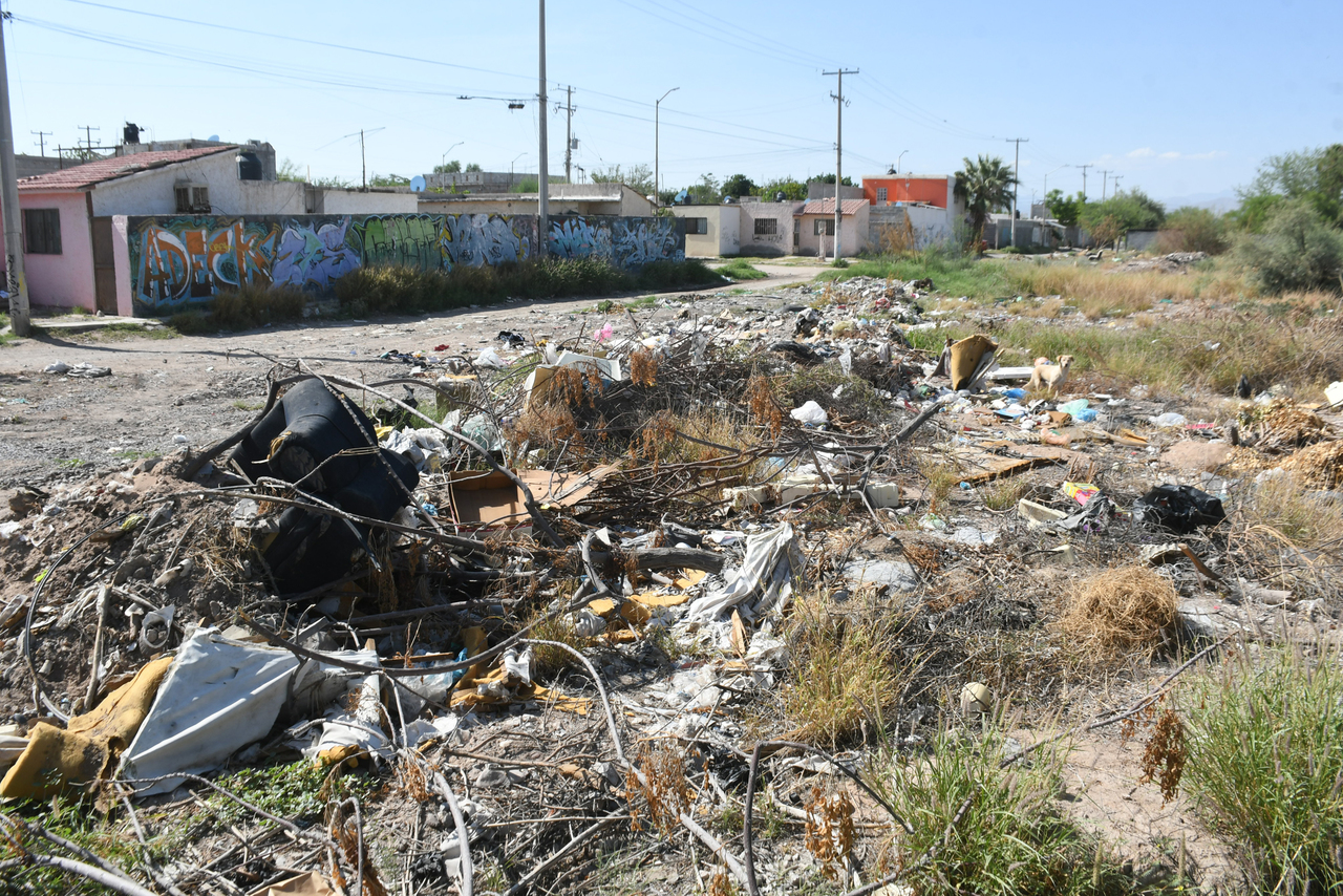 Notifican a propietarios de 60 terrenos baldíos en Torreón