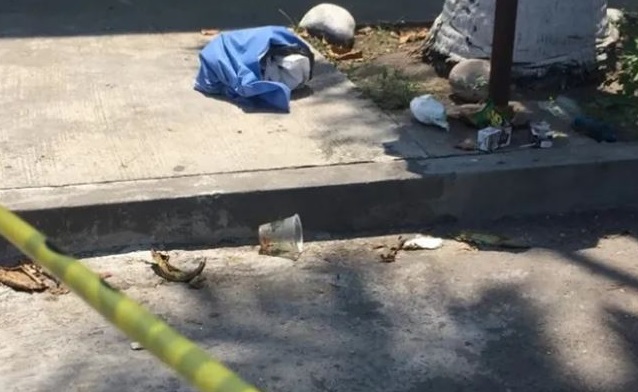 Perros callejeros devoran a recién nacido abandonado en la basura 