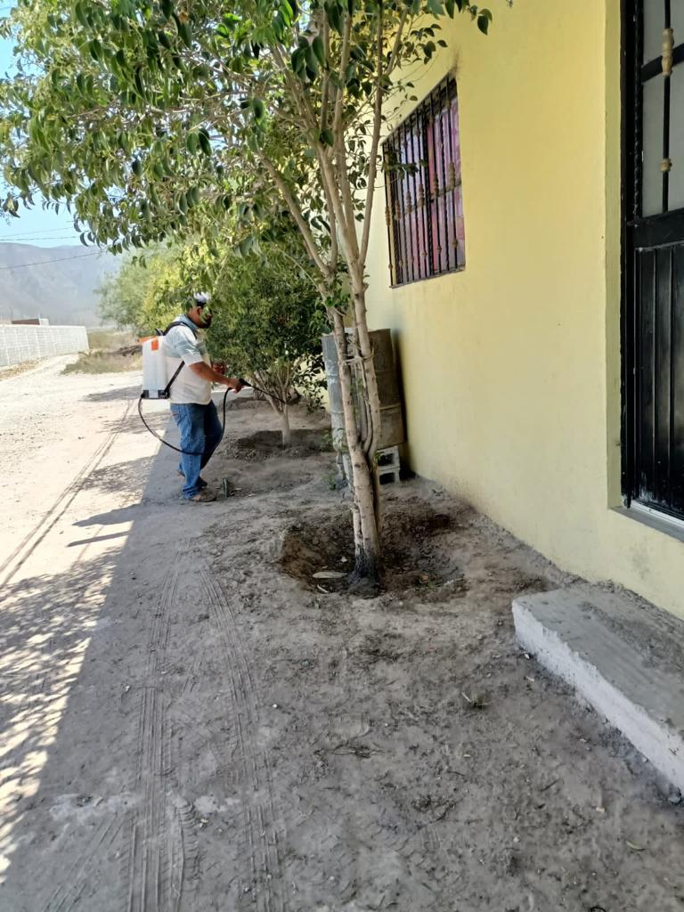Realizan fumigación de garrapatas en 48 domicilios de Arteaga