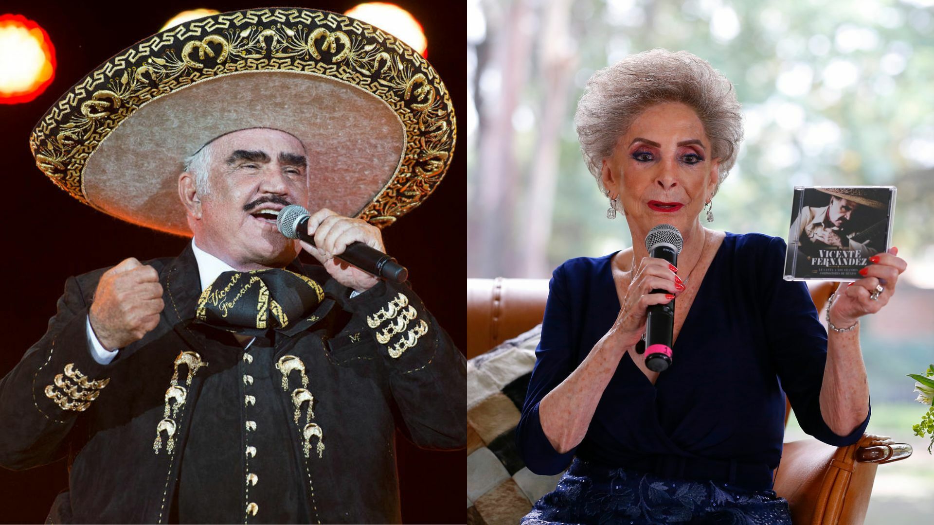 Vicente Fernández qué se sabe del proyecto que tenía con Ricardo Arjona y  por qué no vio la luz