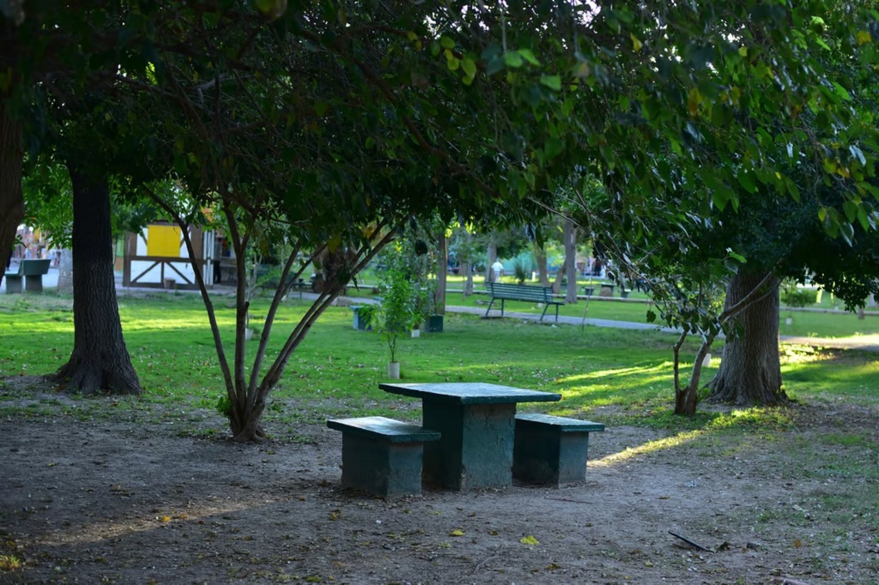 DIF Torreón anuncia taller de mantenimiento de jardines