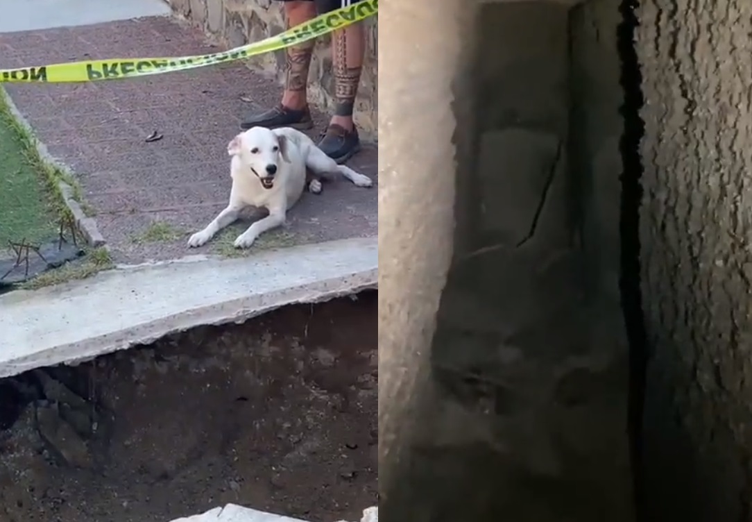 VIRAL: Descubren misteriosos túneles subterráneos en Guadalajara 