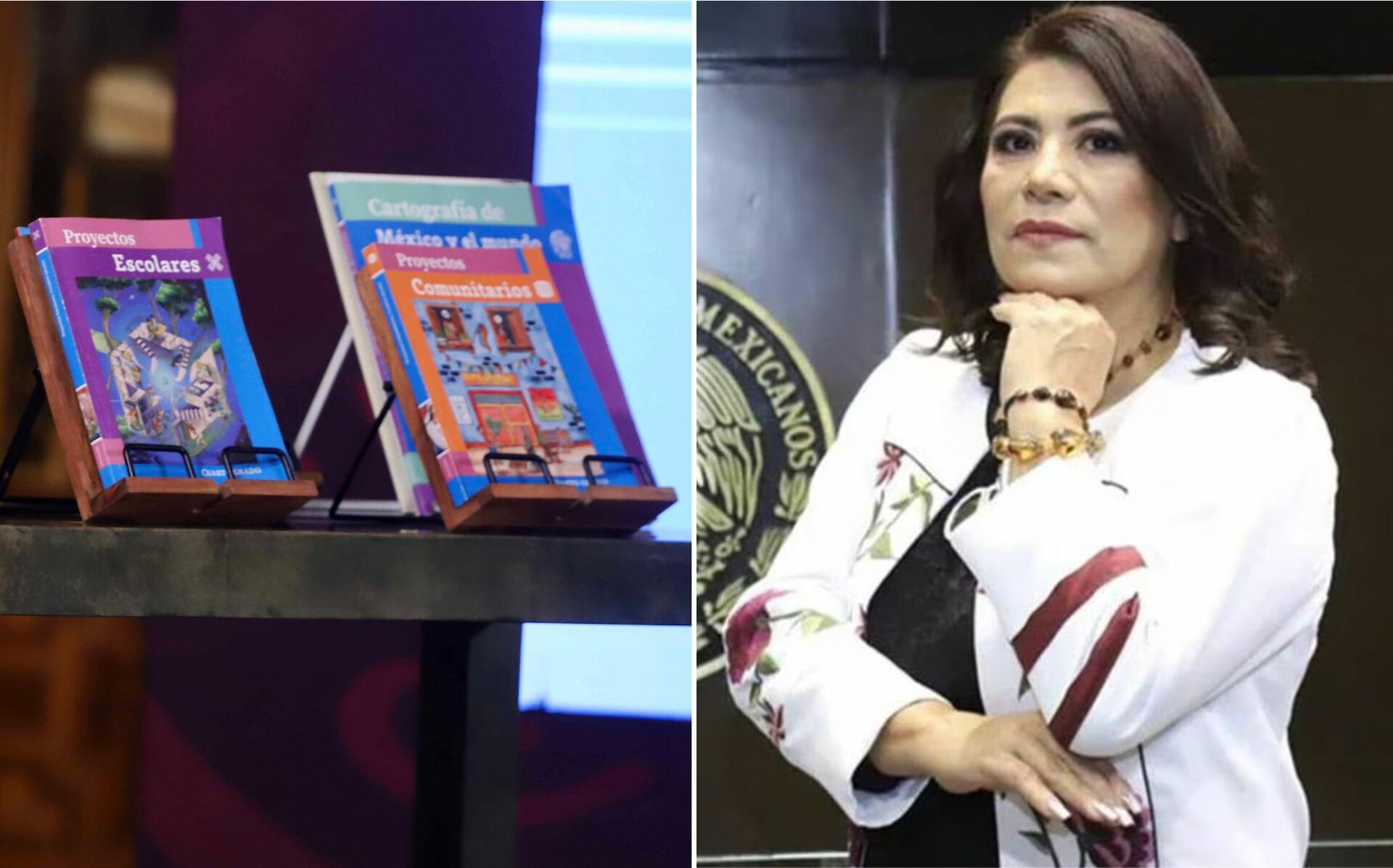 La diputada de Morena se pronunció en contra de la distribución y el contenido de los libros de texto gratuitos de la Secretaría de Educación Pública.