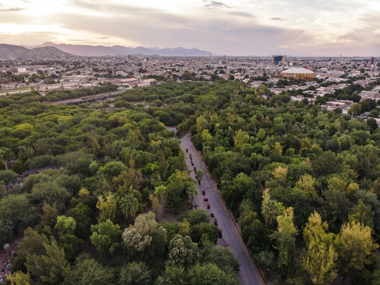 Esta actividad incluyó labores de limpieza, retiro de escombro y la preparación de un terreno. (EL SIGLO DE TORREÓN)