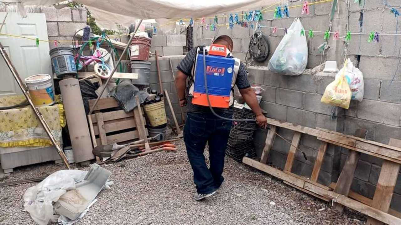 Indagan muerte por picadura de garrapata en Torreón