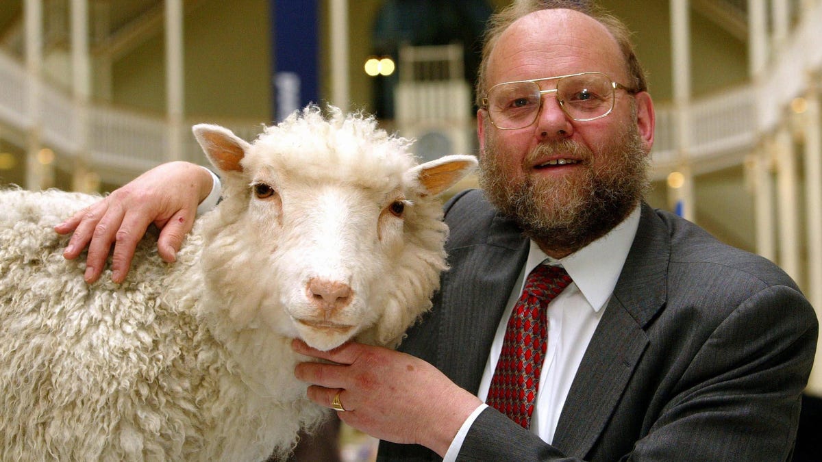 Fallece Ian Wilmut, el padre científico de la oveja Dolly, a los 79 años