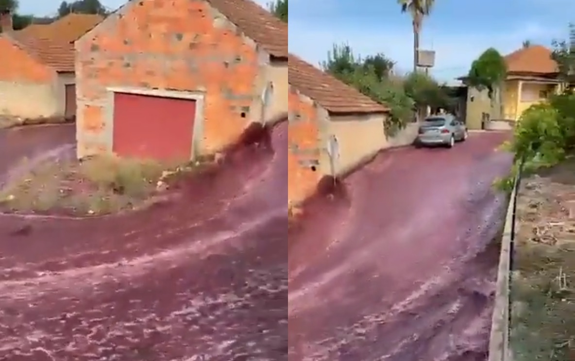 VIDEO: Calles de Portugal terminan inundadas en vino tinto 