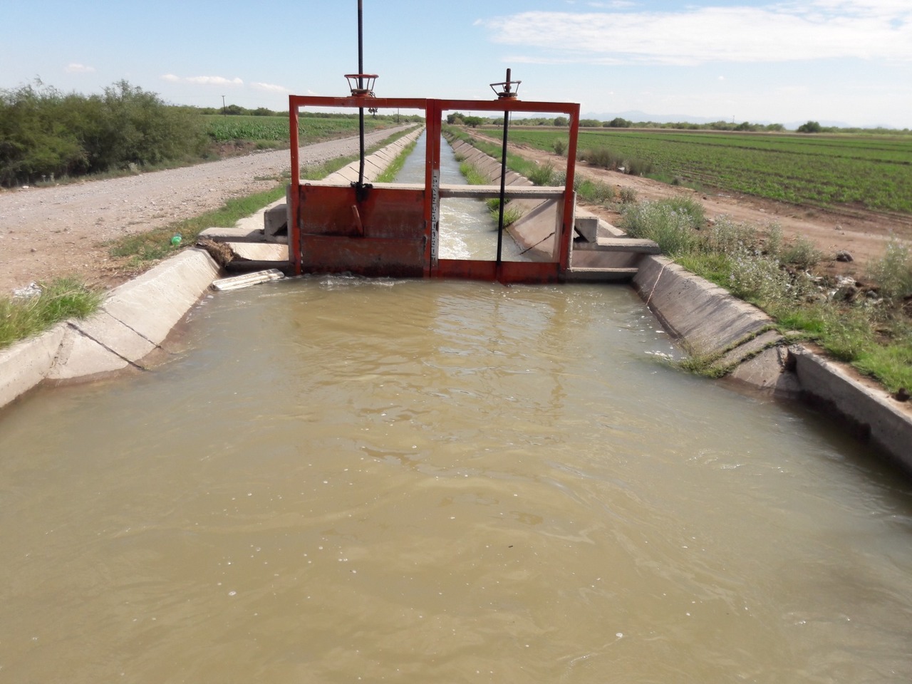 Conagua garantiza agua para el ciclo agrícola en La Laguna