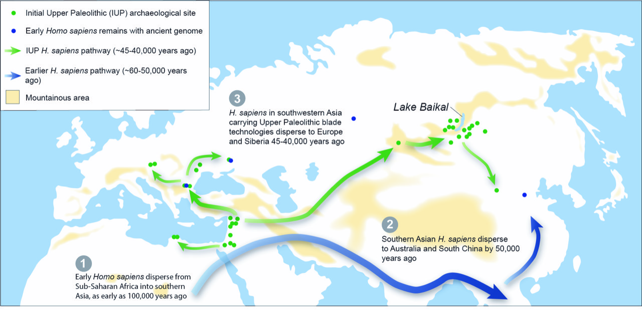 Un periodo cálido del Pleistoceno facilitó la expansión de humanos modernos por Siberia
