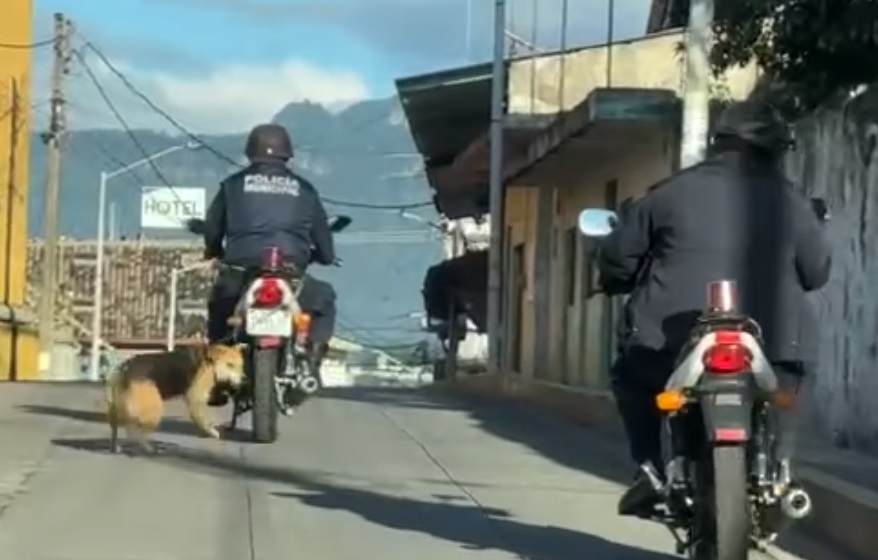 Denuncian a policía que arrastró a perro en su motocicleta en Veracruz