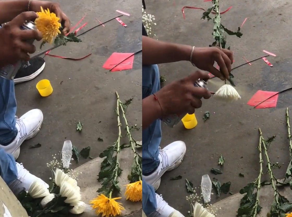 'Lo que cuenta es la intención'; hombre se vuelve viral por pintar flores blancas de amarillo 