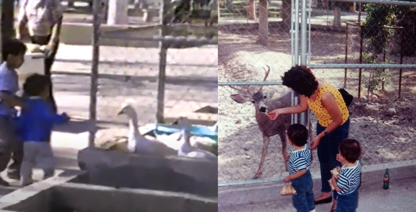 ¿Te acuerdas del zoológico que había en el Bosque Venustiano Carranza de Torreón?