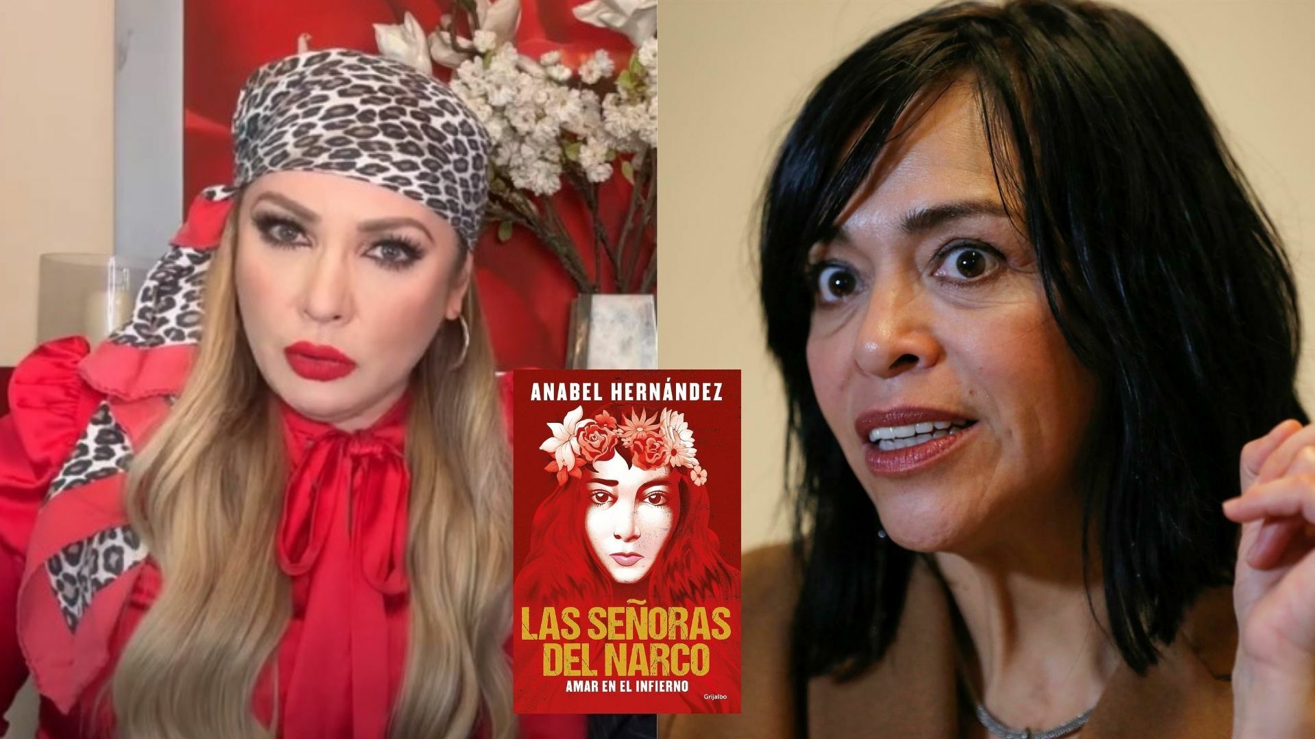 Paty Navidad aclara como conoció a Beltrán Leyva y señala inconsistencias de Anabel Hernández 