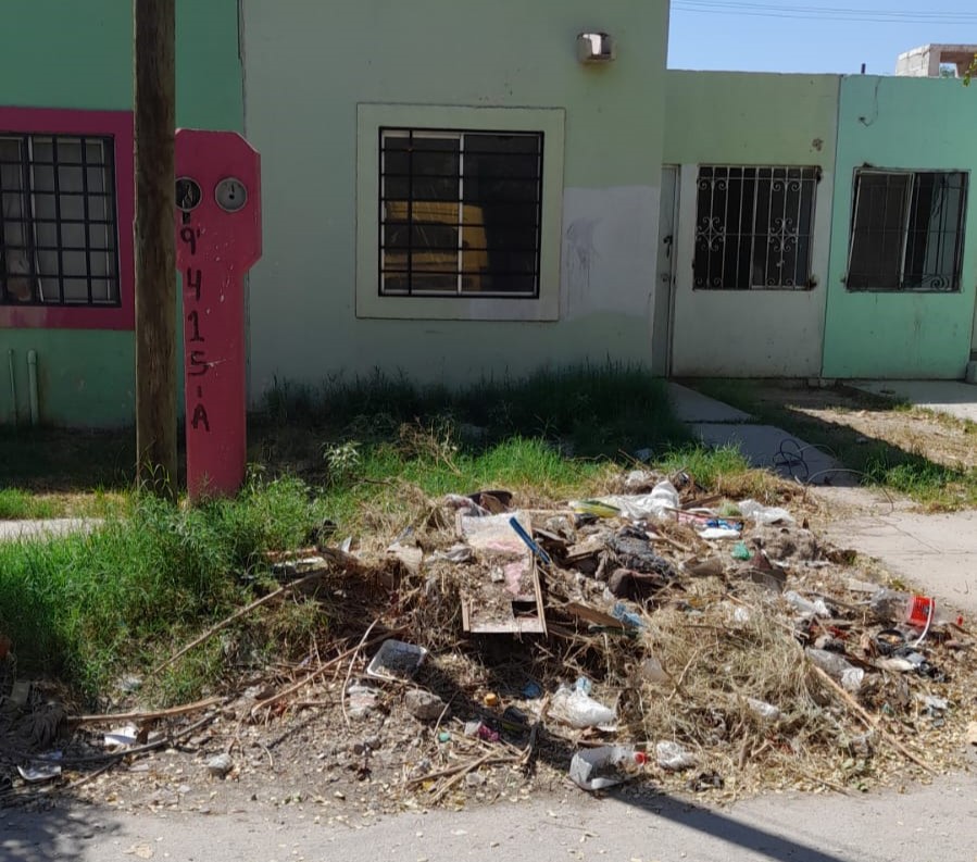 Alerta presencia de garrapatas en la colonia Villa Universidad de Torreón