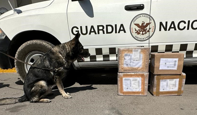 Los guardias nacionales localizaron siete paquetes envueltos en plástico transparente que contenían más de ocho kilogramos de hierba verde. (ESPECIAL)