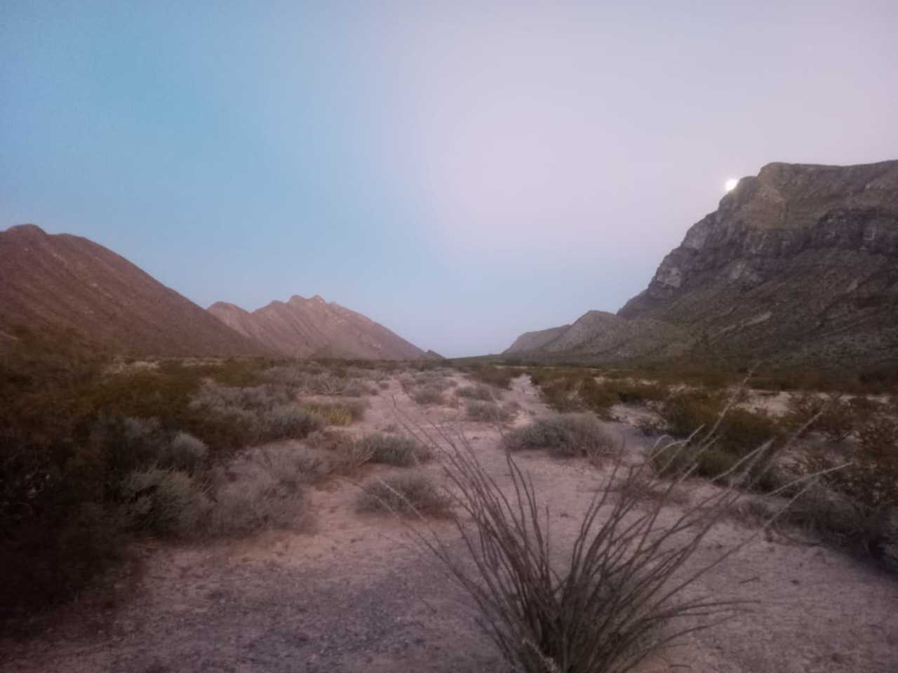 Torreón se suma a mes del Desierto Chihuahuense