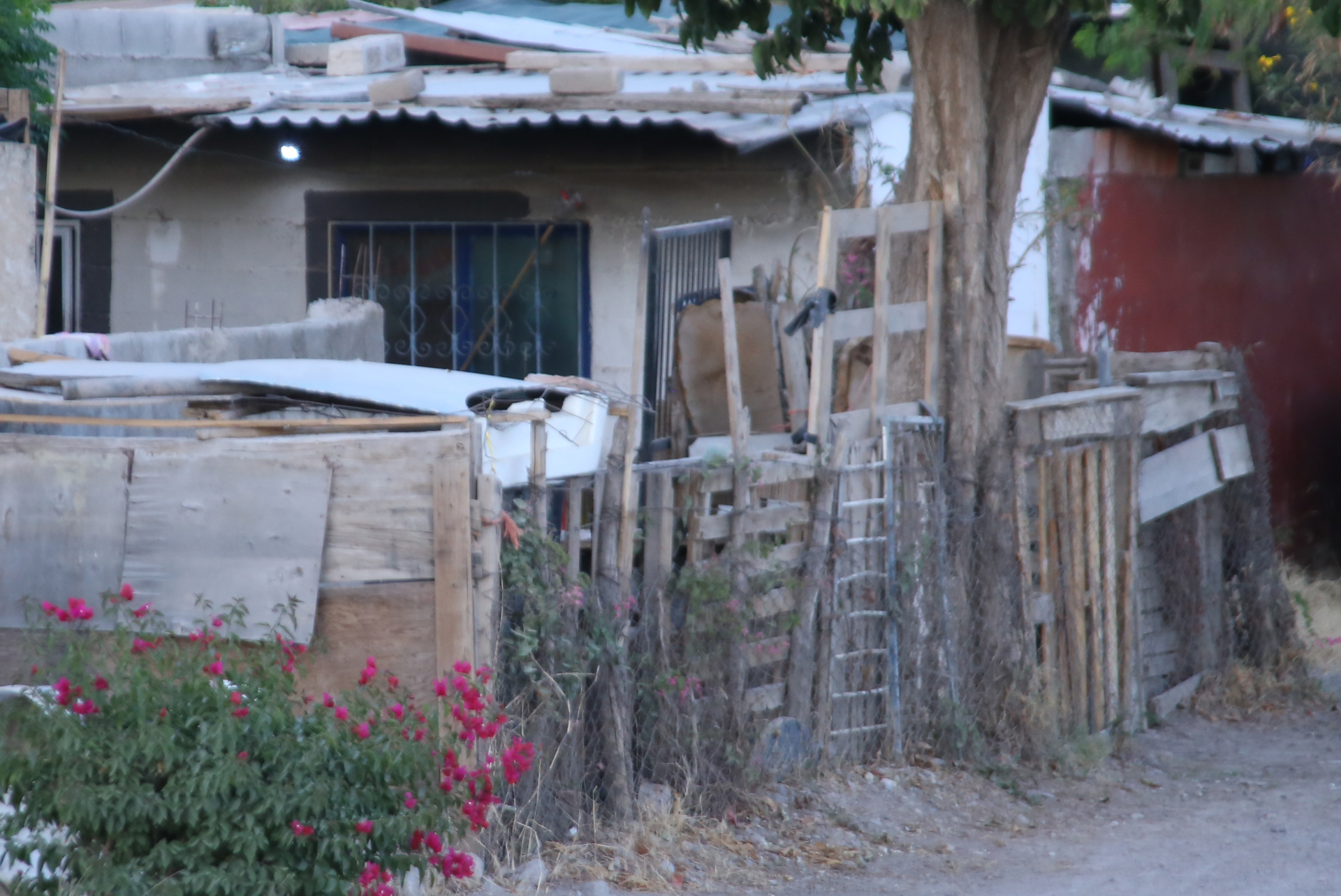 AMLO estima que la pobreza en México disminuirá 10% al final de su sexenio
