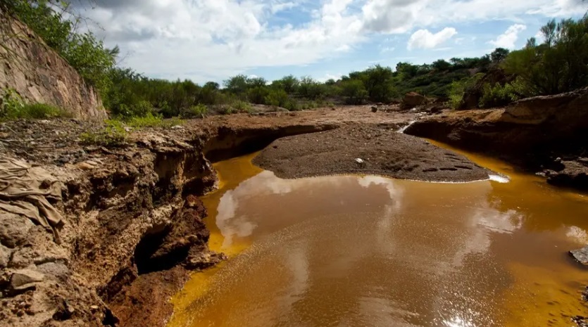 Grupo México confirma que la remediación del río Sonora fue exitosa
