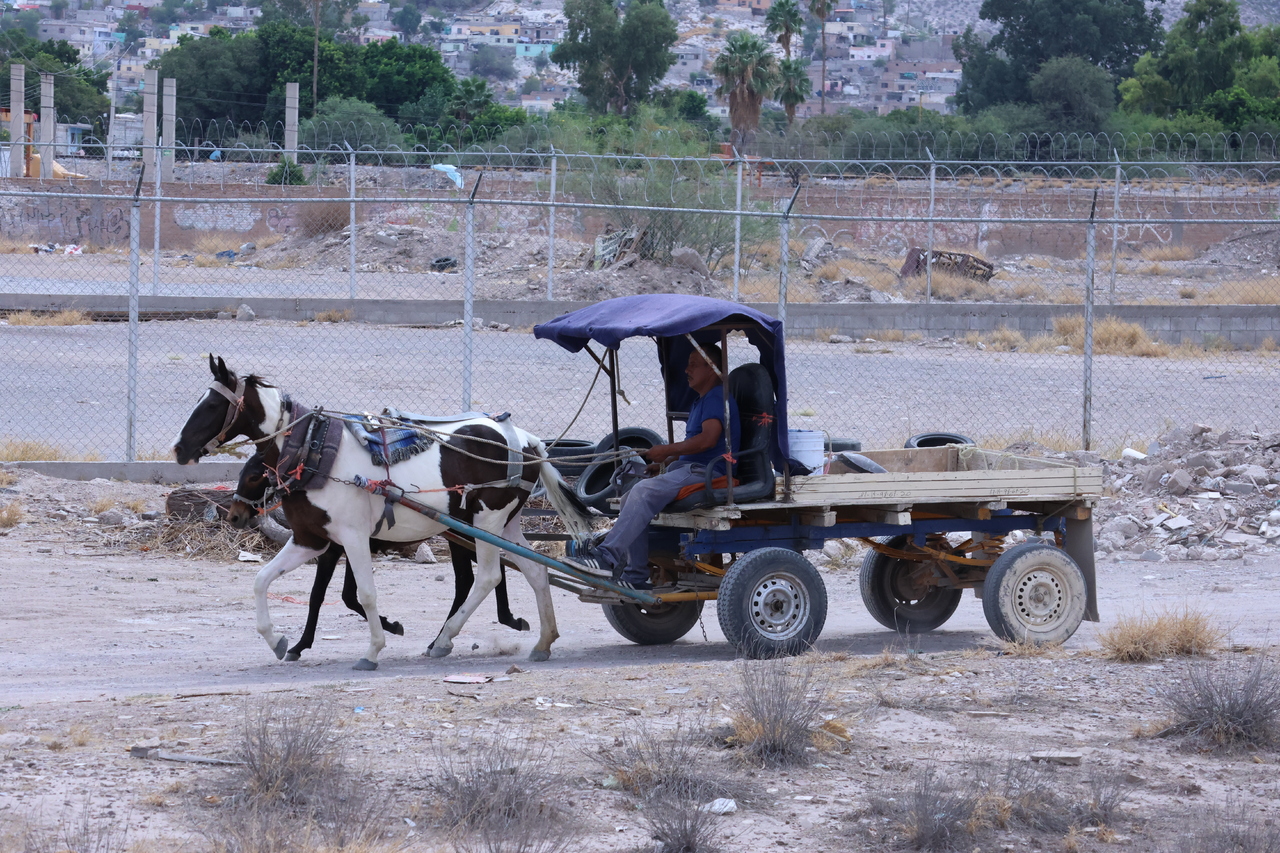 Torreón, sin censo de carromatos pese a la proliferación de escombro