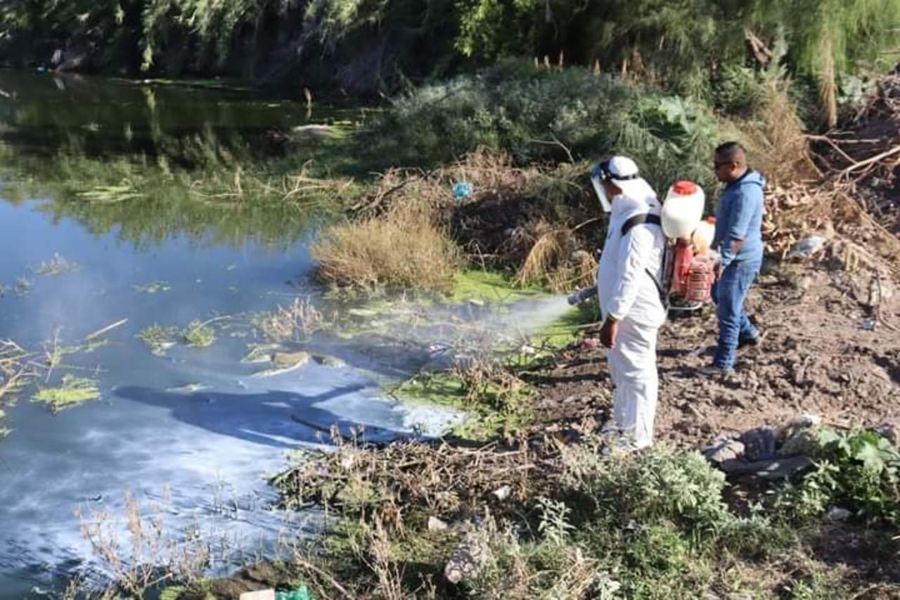 Confirman 20 casos de dengue en Coahuila