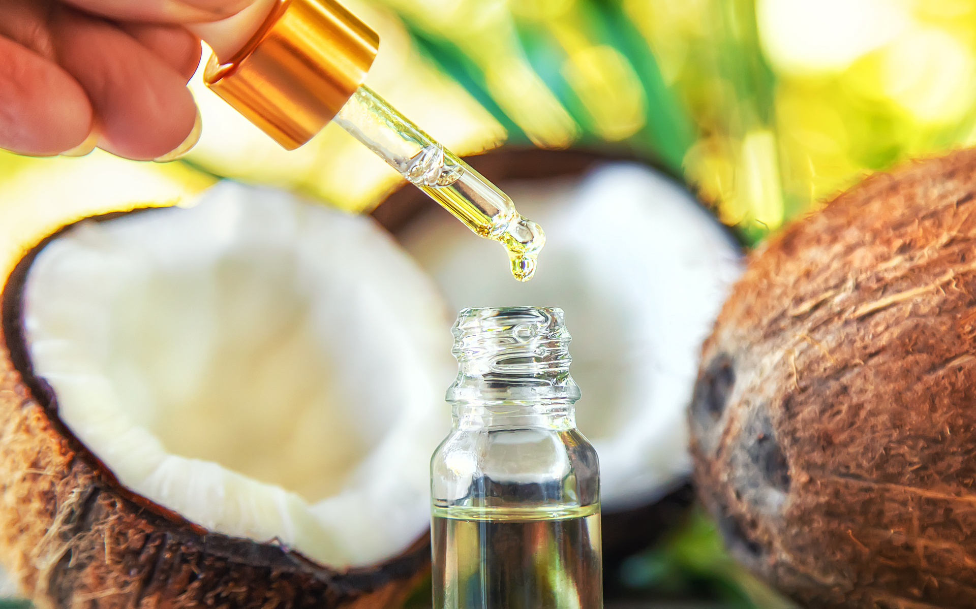 No es recomendable el aceite de coco para la salud: especialista