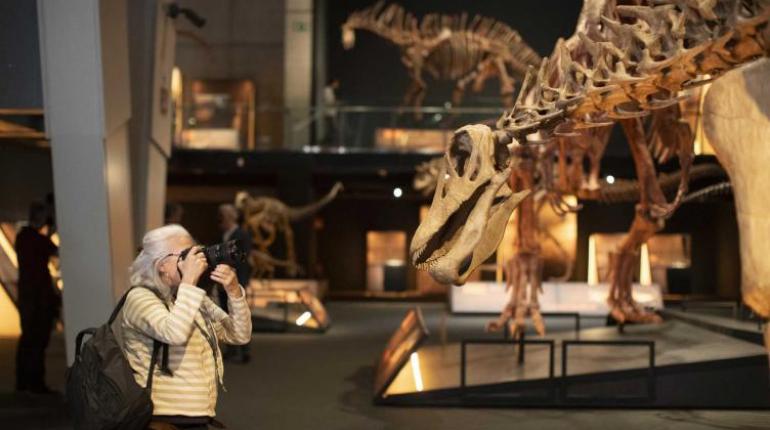 Museo de Ciencia de Barcelona exhibe una réplica del gigantesco dinosaurio de la Patagonia