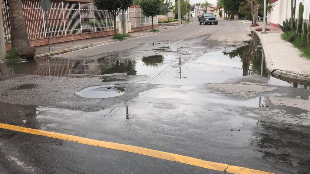 Reportan Brotes De Aguas Negras En El Campestre De Torreón