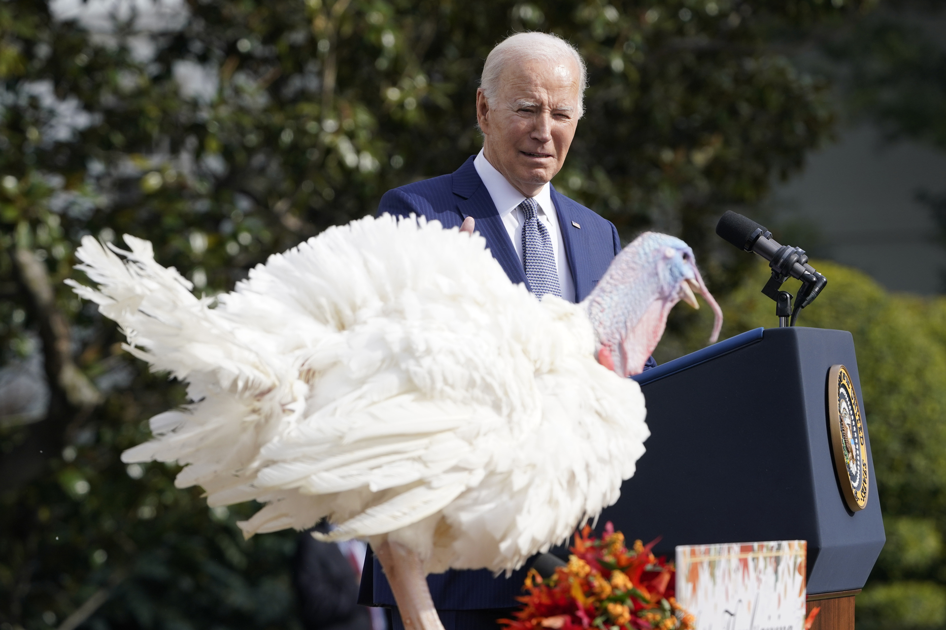 Joe Biden cumple años y lo celebra indultando a dos pavos de Acción de Gracias