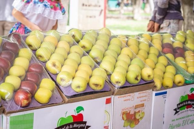 Disminuye producción de manzana a falta de lluvias en Arteaga
