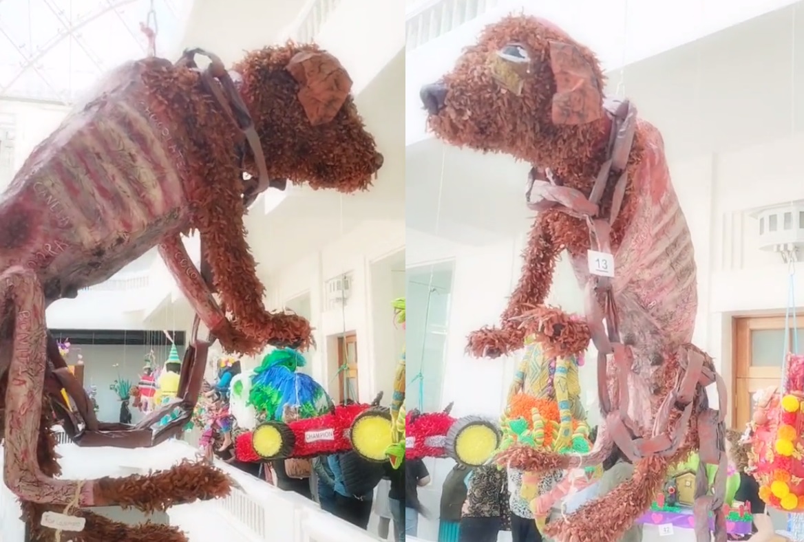 Piñata para 'crear conciencia' sobre maltrato animal genera polémica 