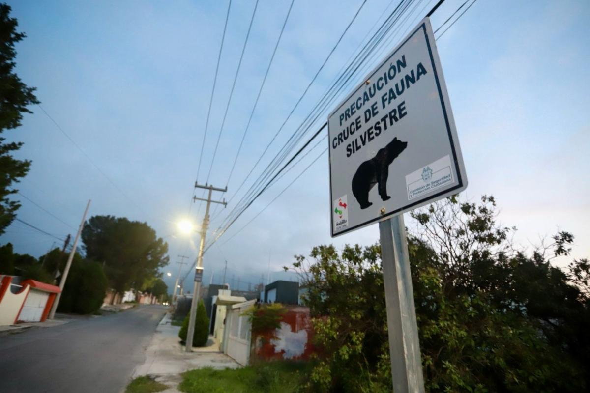 Policía Ambiental de Saltillo coloca señalamientos para preservar osos