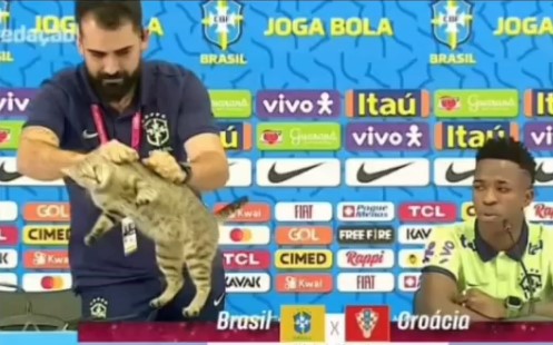 Selección de Brasil y su 'maldición' por maltratar a un gato en el pasado Mundial de Qatar 